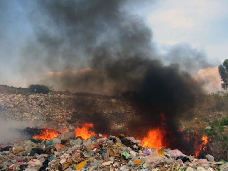 basura12121