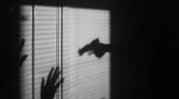 gun