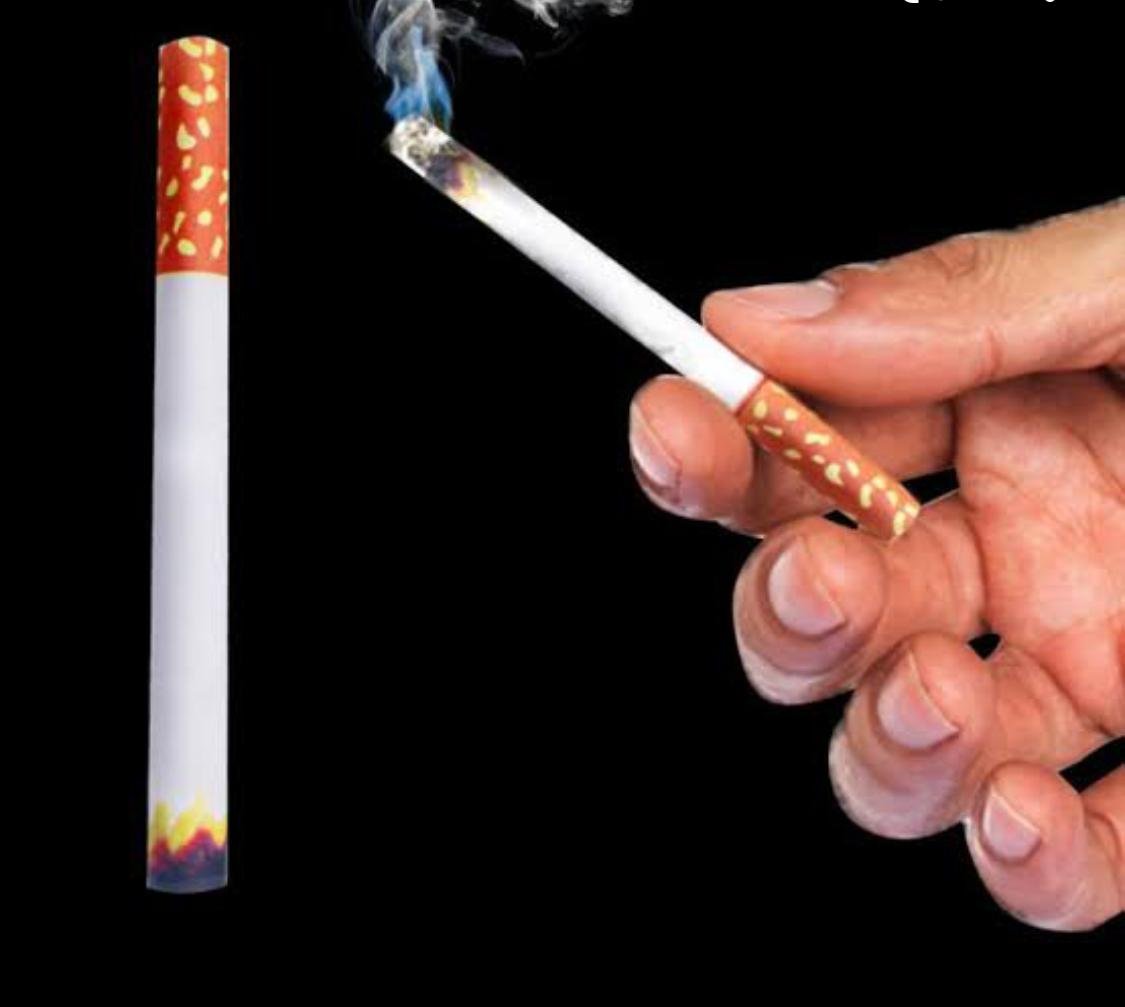 cigar