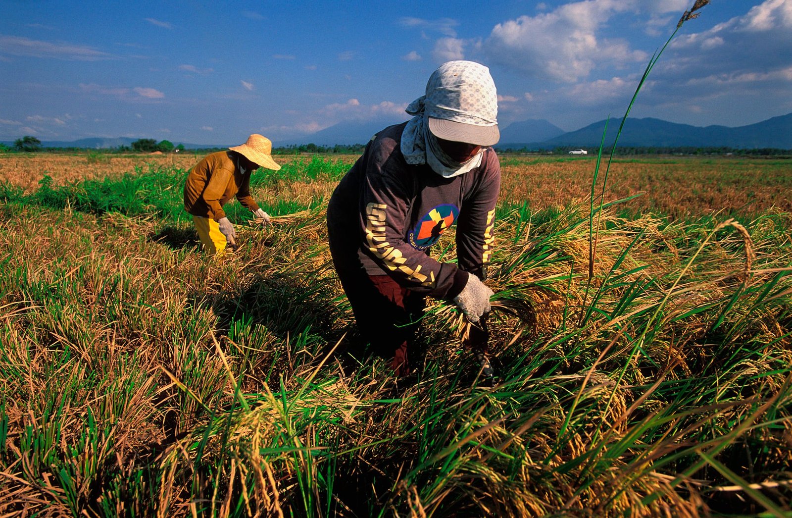 fARMERS