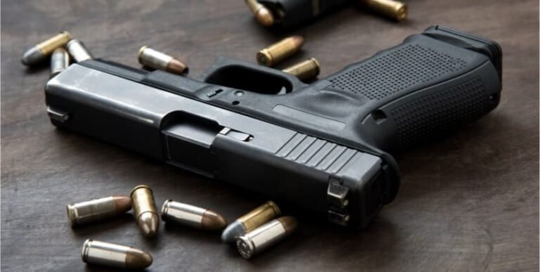 gun2