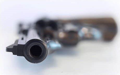 gun45