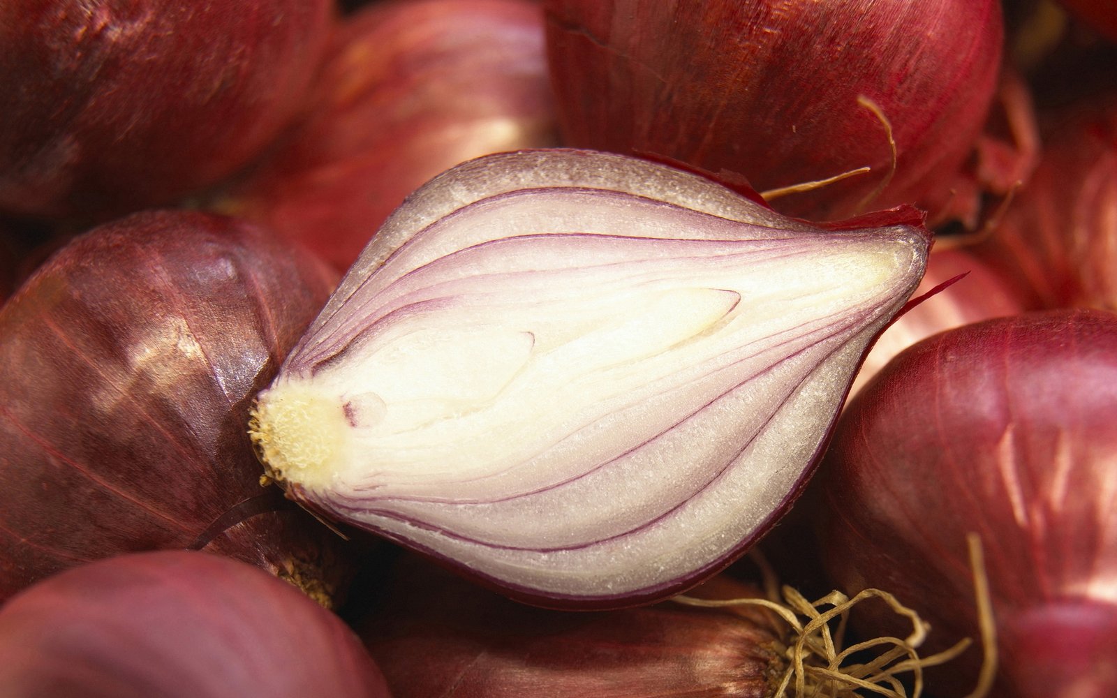 onions6