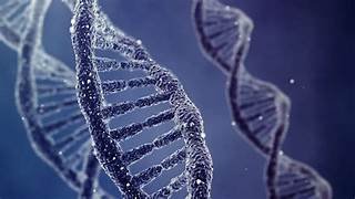 dna