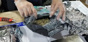 kush4