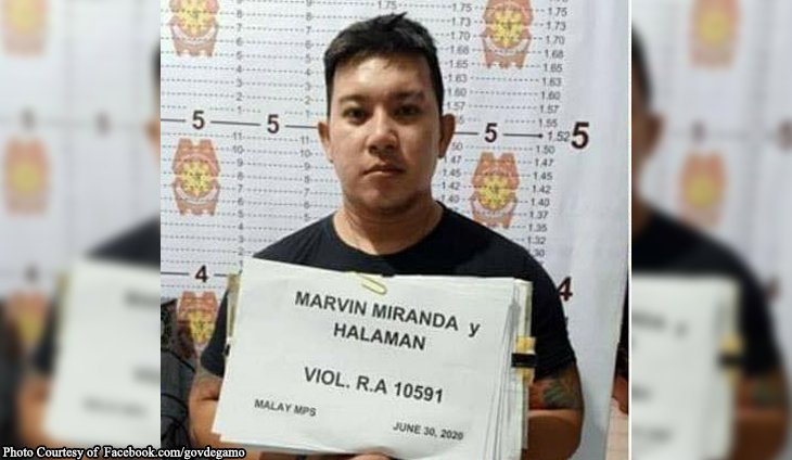 marvin-halaman