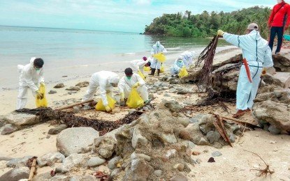 naujan-oil-spill-cleanup