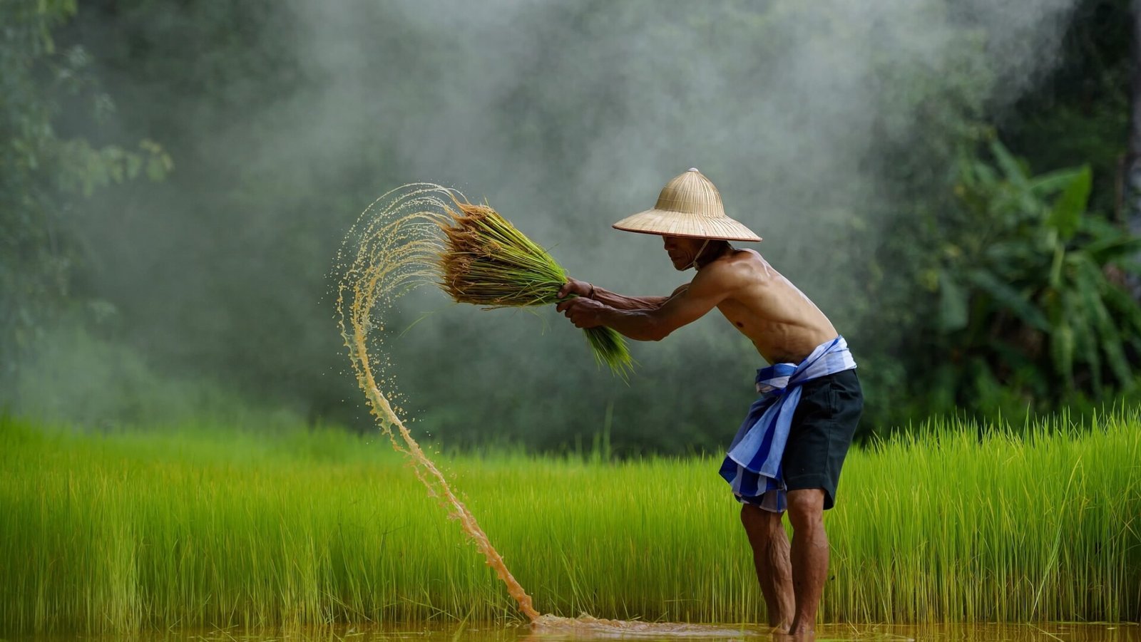 farmer