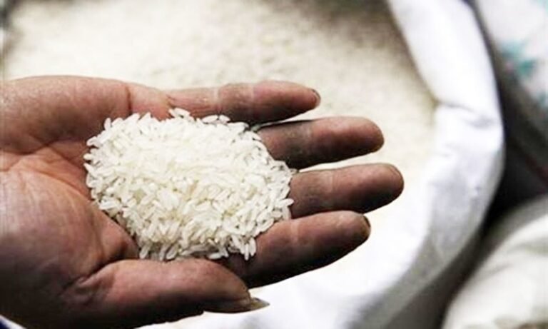 rice