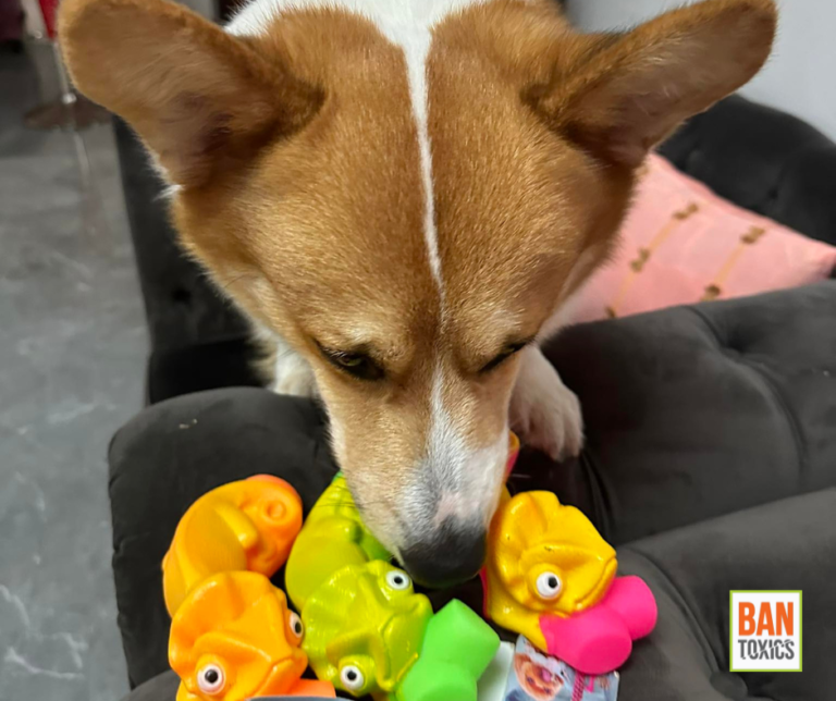 Pet Toys