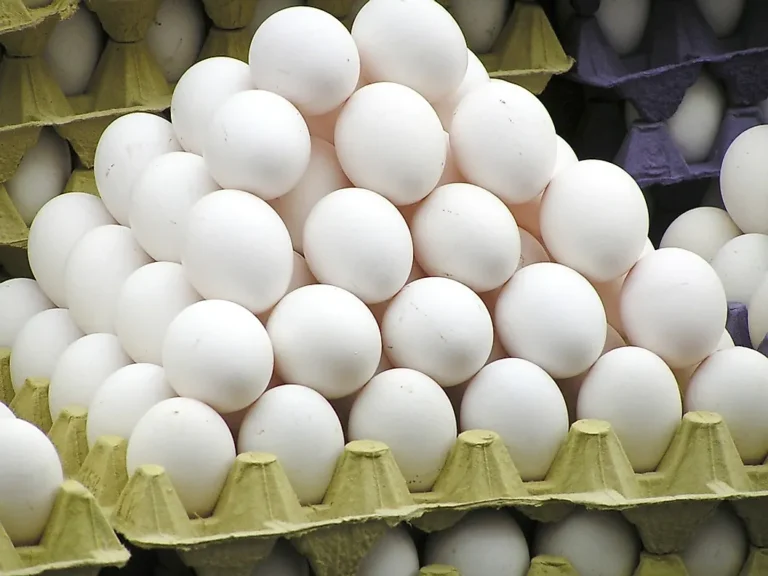 eggs3