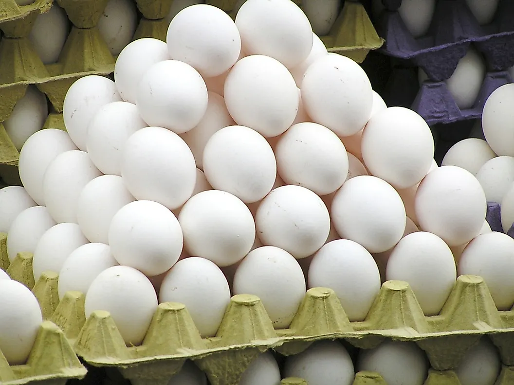 eggs3