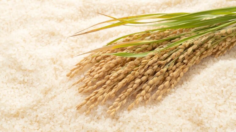 rice34
