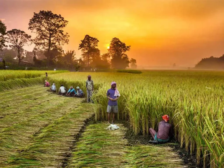 farmers1