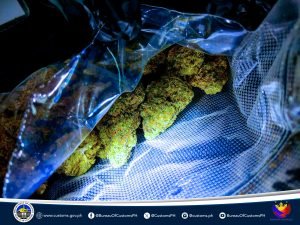 004_BOC-NAIA_CMEC_KUSH-300x225