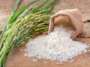 DA plans setting P53/kilo SRP for local rice